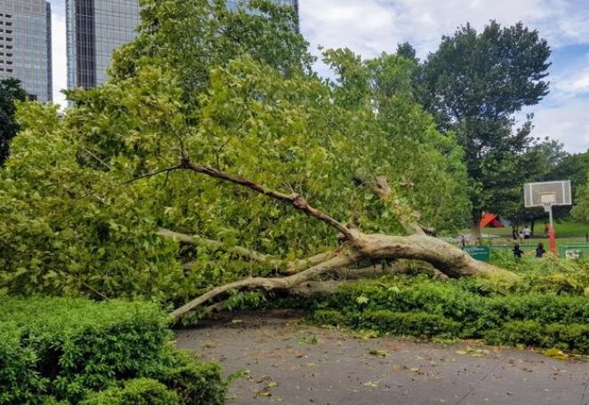 臺風法茜襲擊日本 雨風